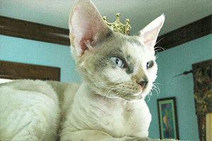 Queen Mary Jane